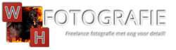 copylogo