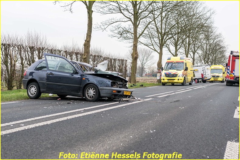2016 02 18 vuren (1)-BorderMaker