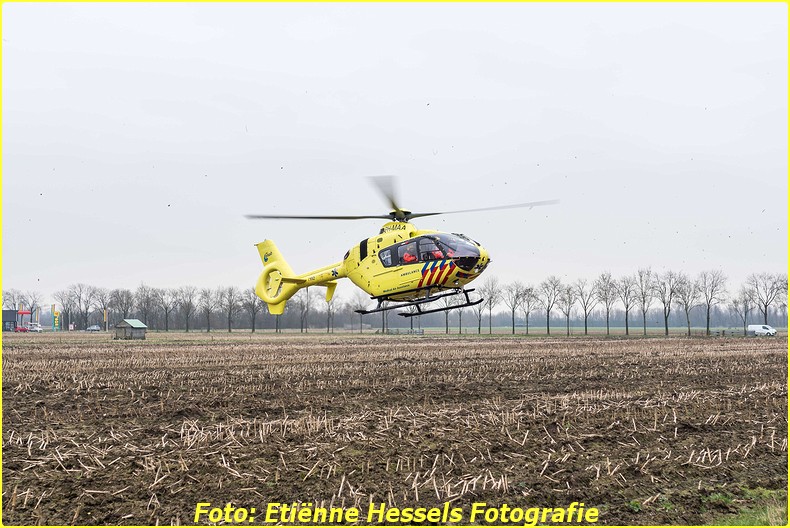 2016 02 18 vuren (3)-BorderMaker