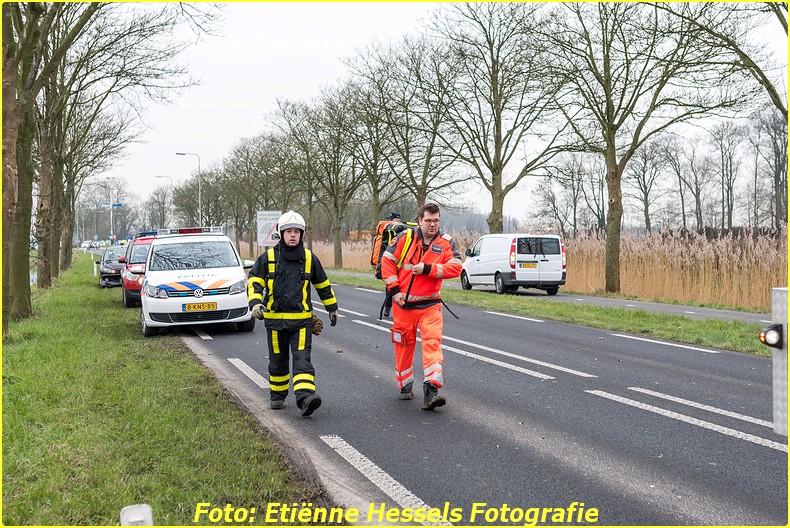 2016 02 18 vuren (5)-BorderMaker