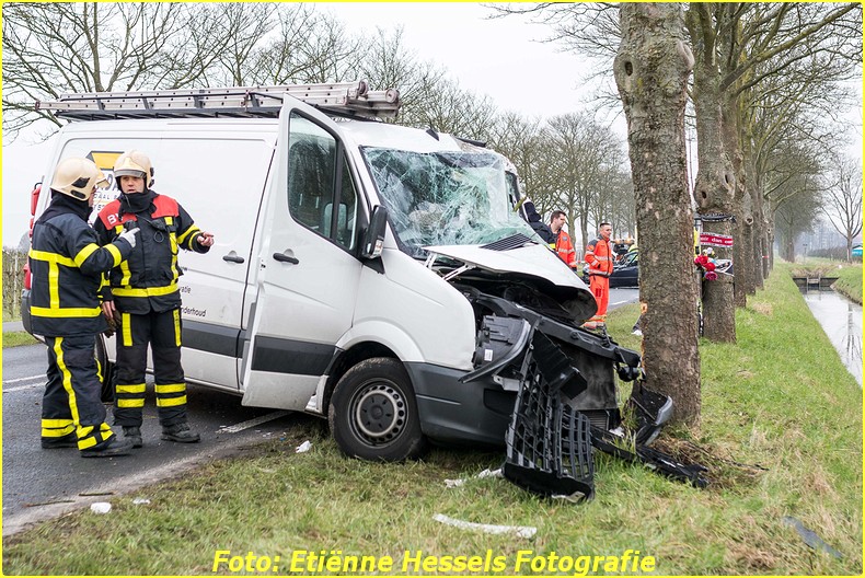 2016 02 18 vuren (8)-BorderMaker