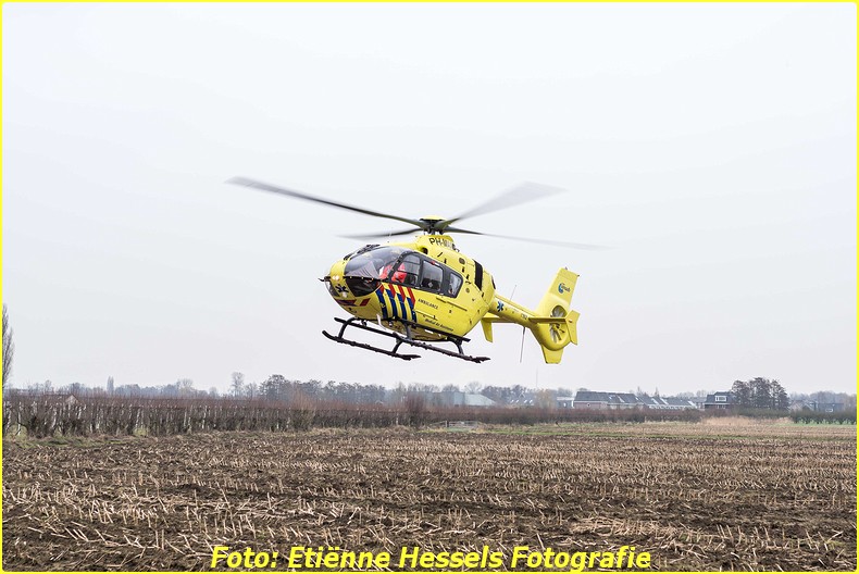 2016 02 18 vuren (9)-BorderMaker