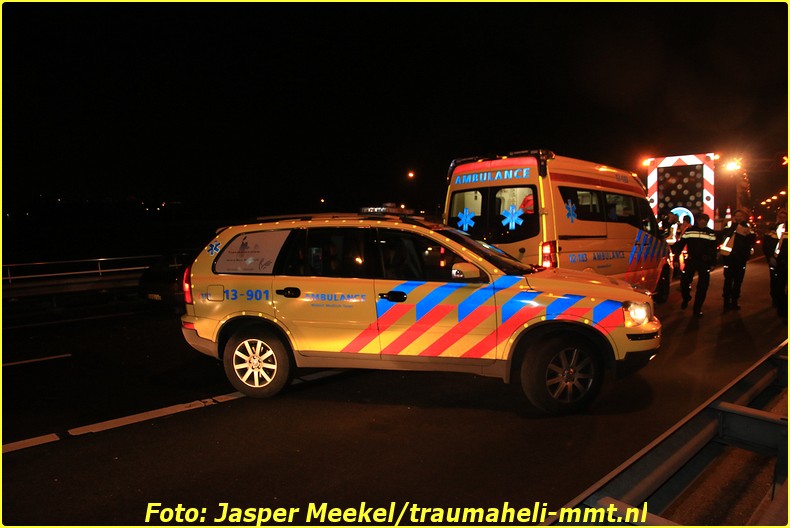 jasper (3)-BorderMaker