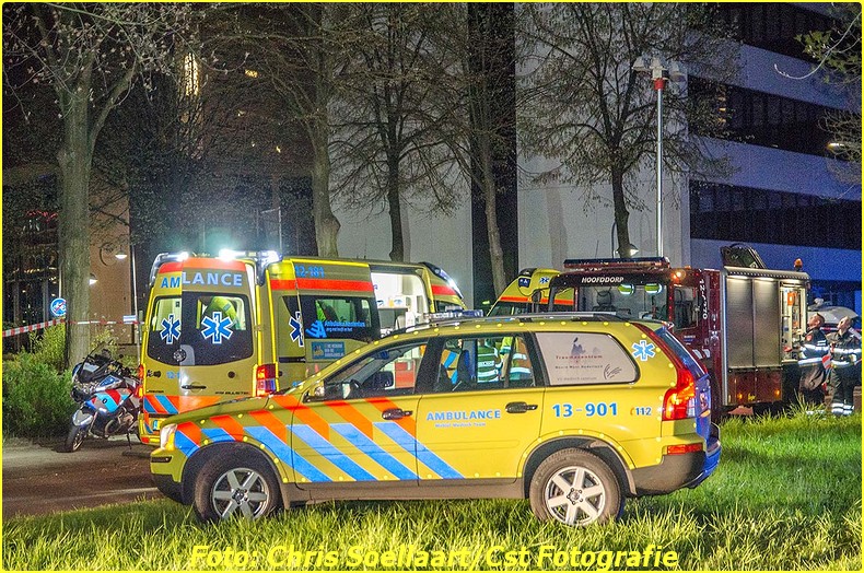 CST_Saturnuspad (4)-BorderMaker