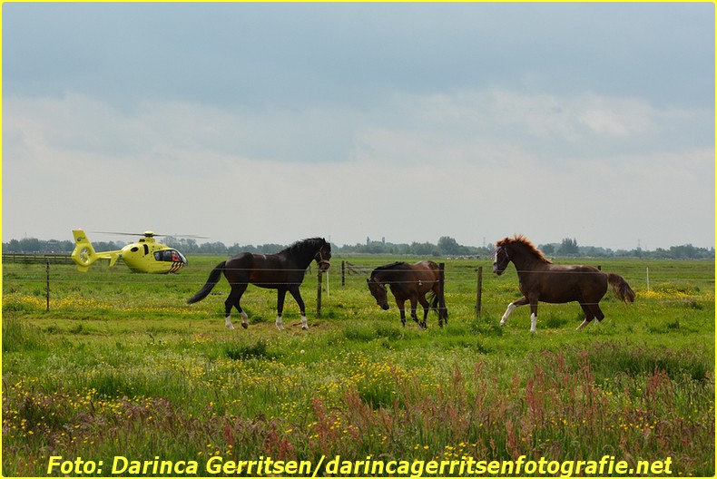 2016 05 21 REEUWIJK (6)-BorderMaker