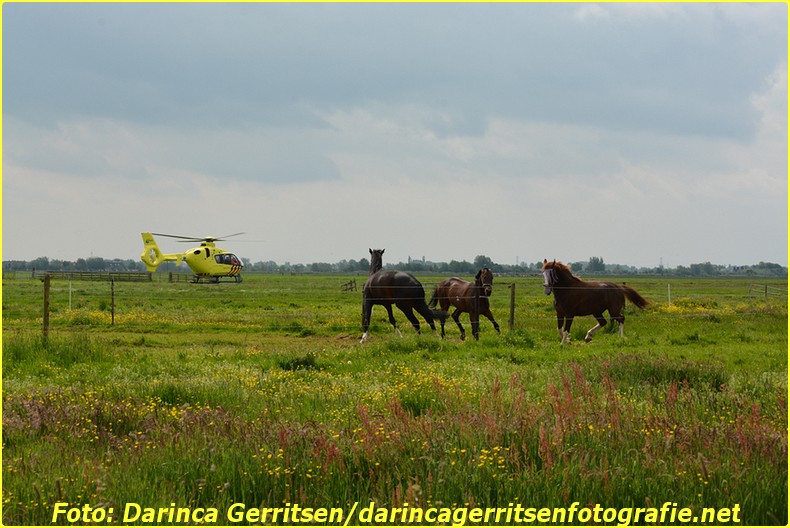 2016 05 21 REEUWIJK (8)-BorderMaker