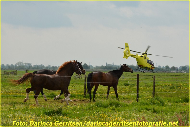 2016 05 21 REEUWIJK (9)-BorderMaker