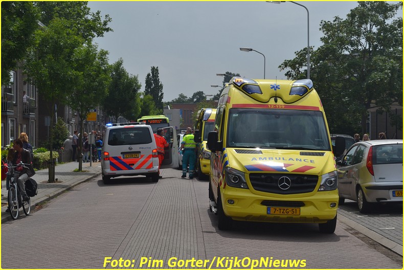 WORMERVEER (4)-BorderMaker