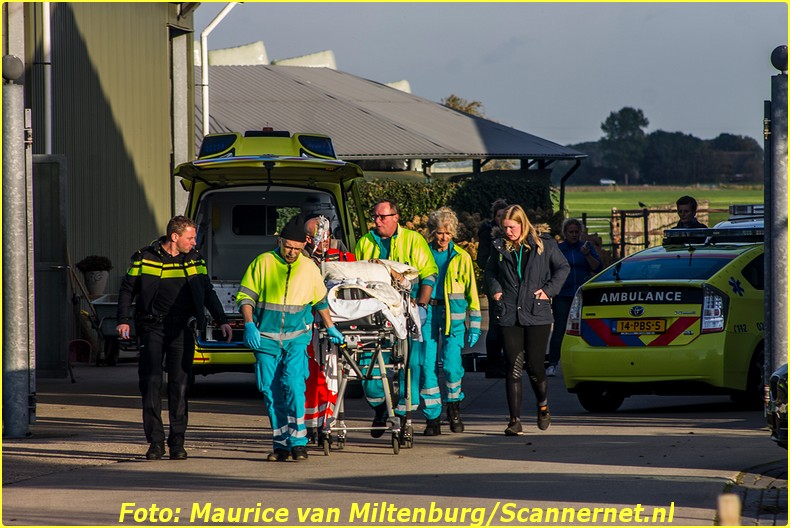 incident_horsea_19102016_maurice_van_miltenburg-4-bordermaker