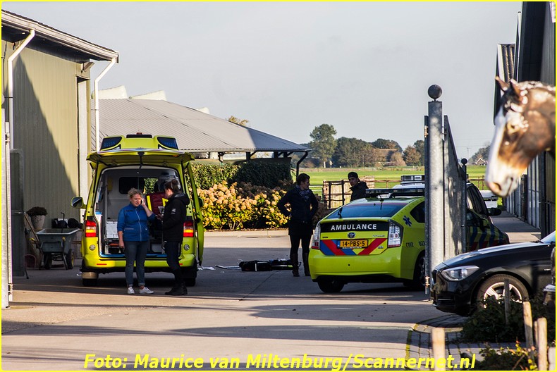 incident_horsea_19102016_maurice_van_miltenburg-5-bordermaker