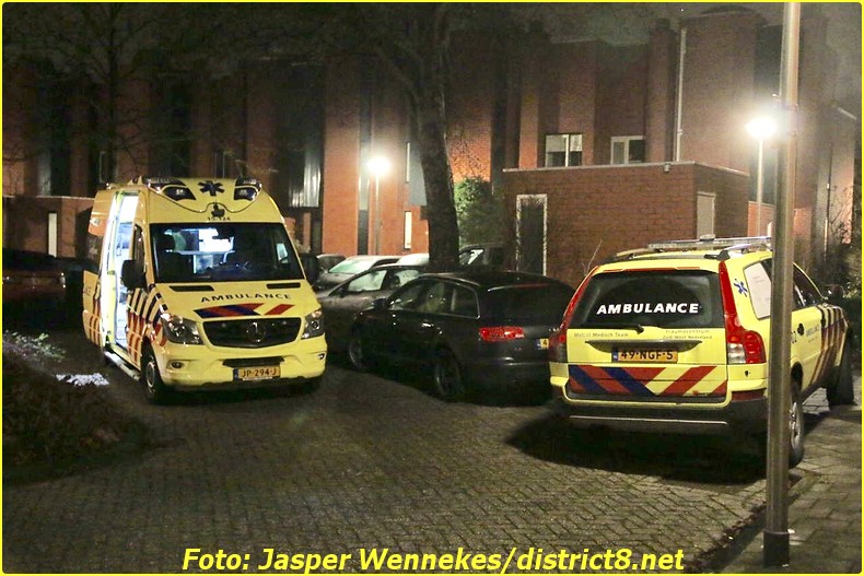 de-lier-1