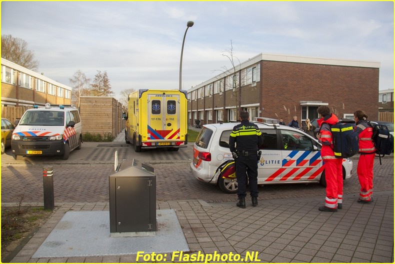 foto10-bordermaker