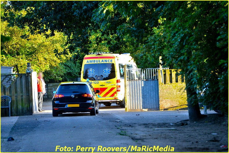 perry-roovers-20160809191235-0-BorderMaker