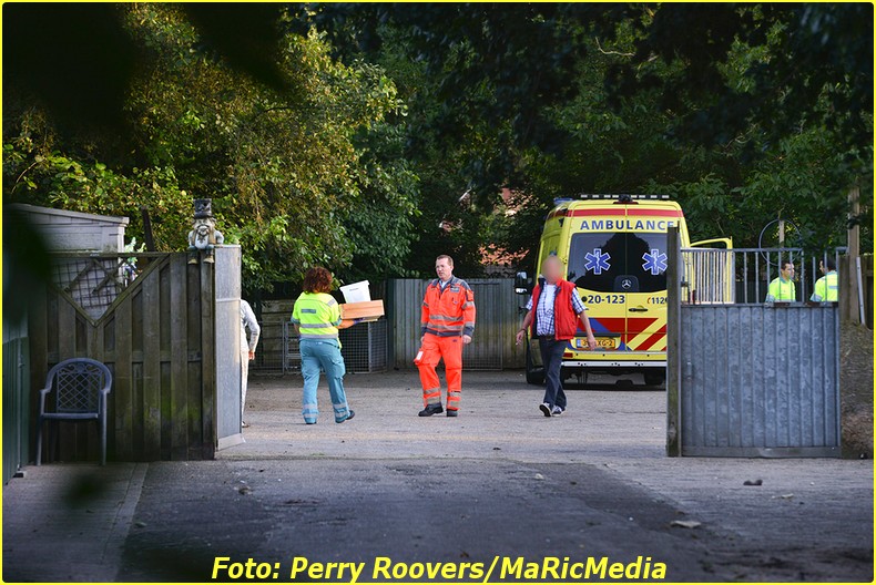 perry-roovers-20160809191235-2-BorderMaker